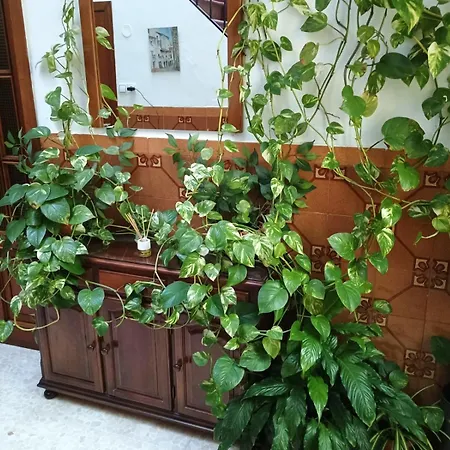 Casa Matbel Apartment Cordoba