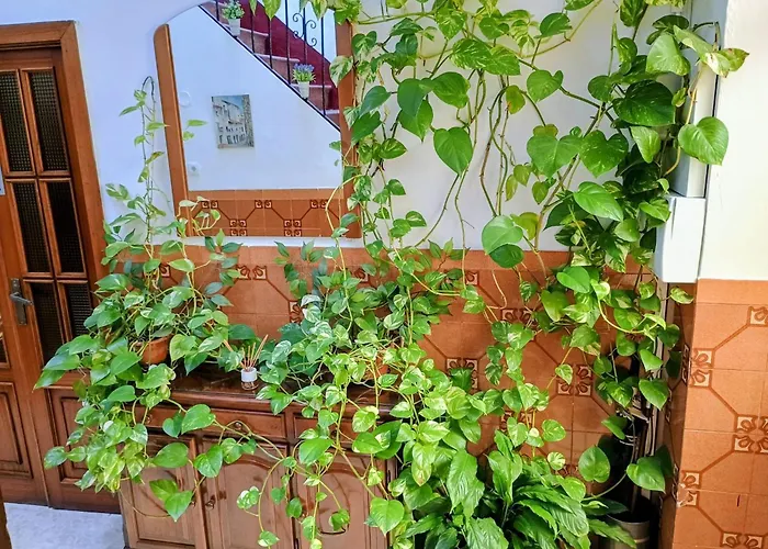 Casa Matbel Lägenhet